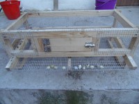 Fürj tartására alkalmas ketrec